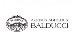 balducci_logo